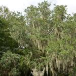 OTRA2014_1568 (September 03, 2014)